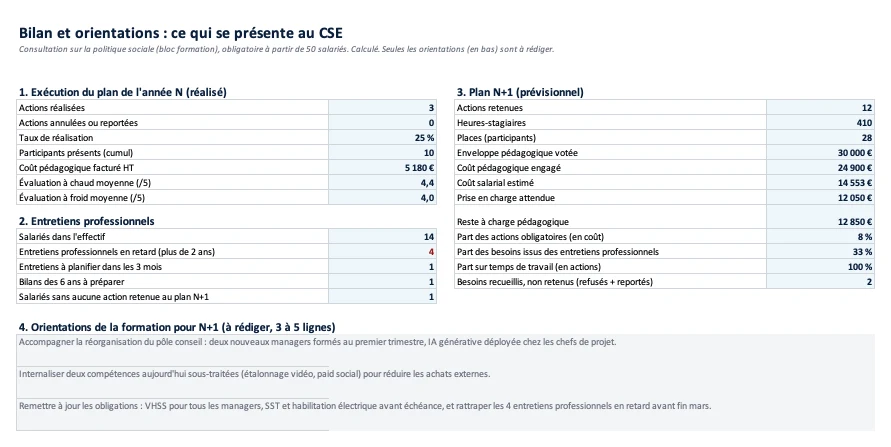 Onglet Bilan CSE : exécution de l'année, état des entretiens professionnels et plan prévisionnel
